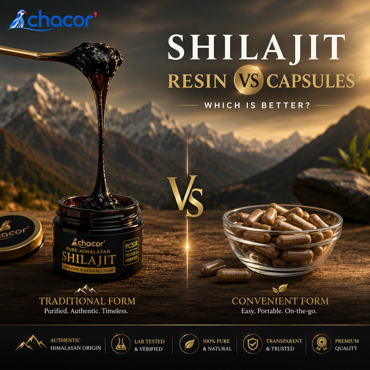 Shilajit Resin vs Capsules: Which Is Better?
