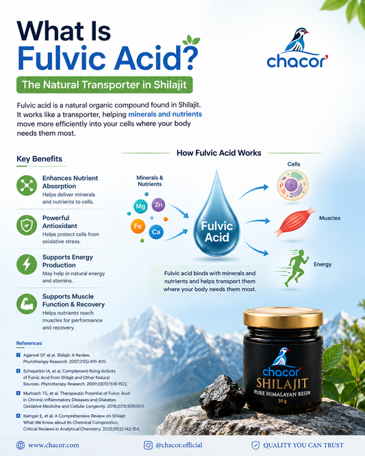 What Is Fulvic Acid? The Science Behind One of Shilajit's Most Important Compounds